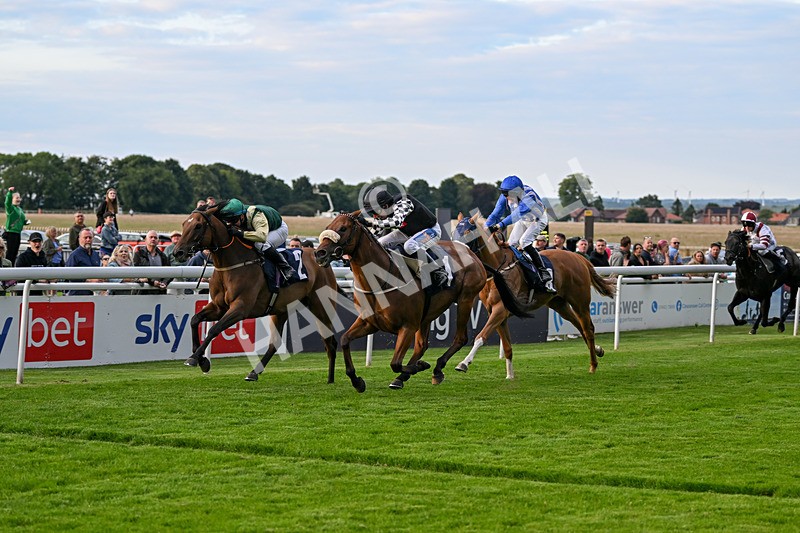 220724-Race 5-King Sharja-1989 - Race 5