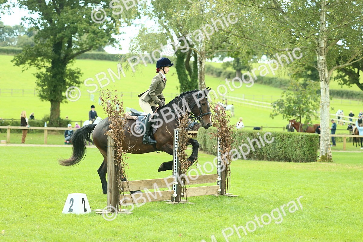 SBM_42039 - S29 - Novice & Newcomers Working Hunter Pony