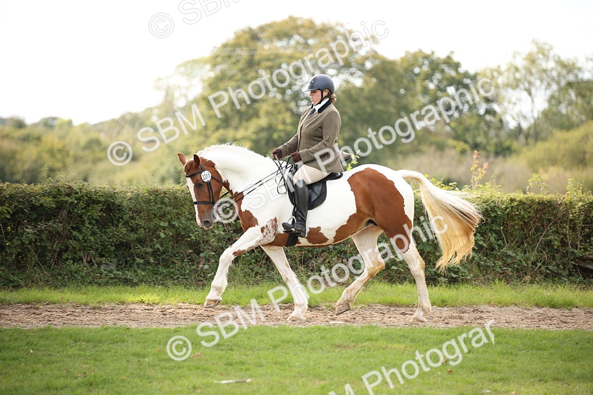 SBM_70392 - S66 - Hunter Ridden