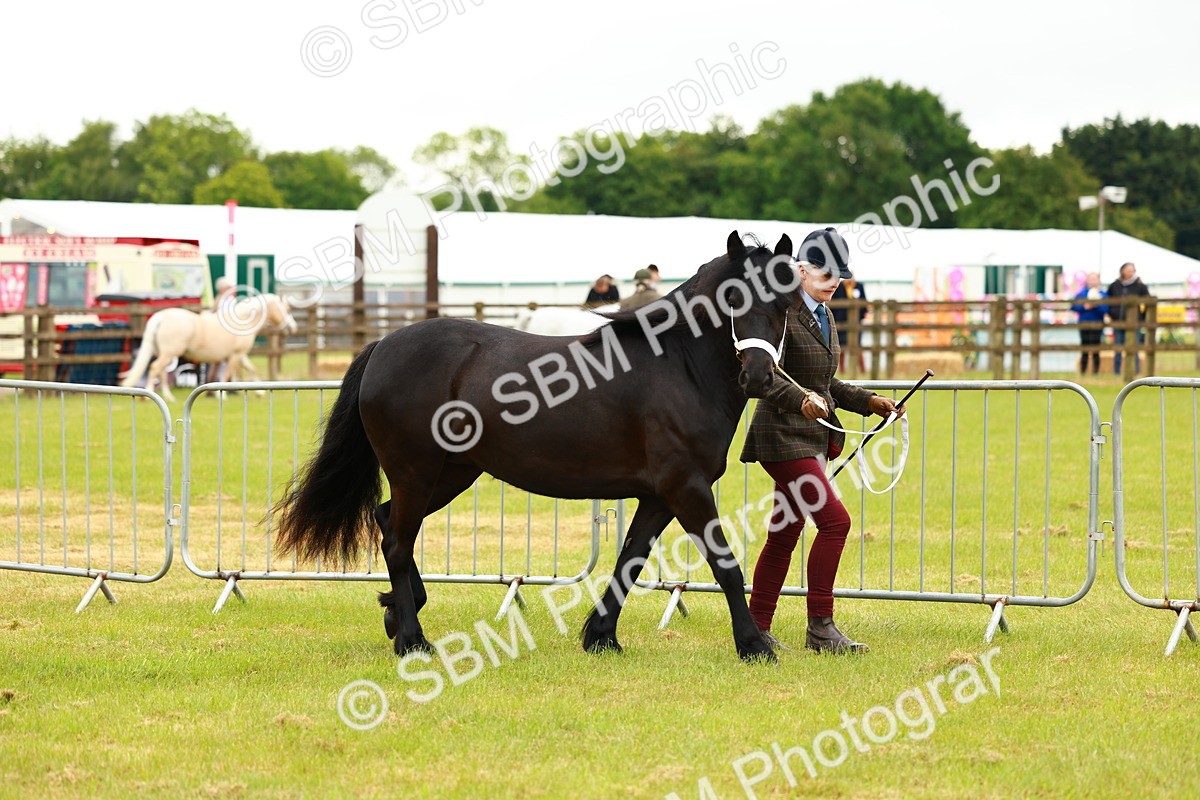 SBM_00344 - Class 58-67 - M&M Non Welsh Pony In hand
