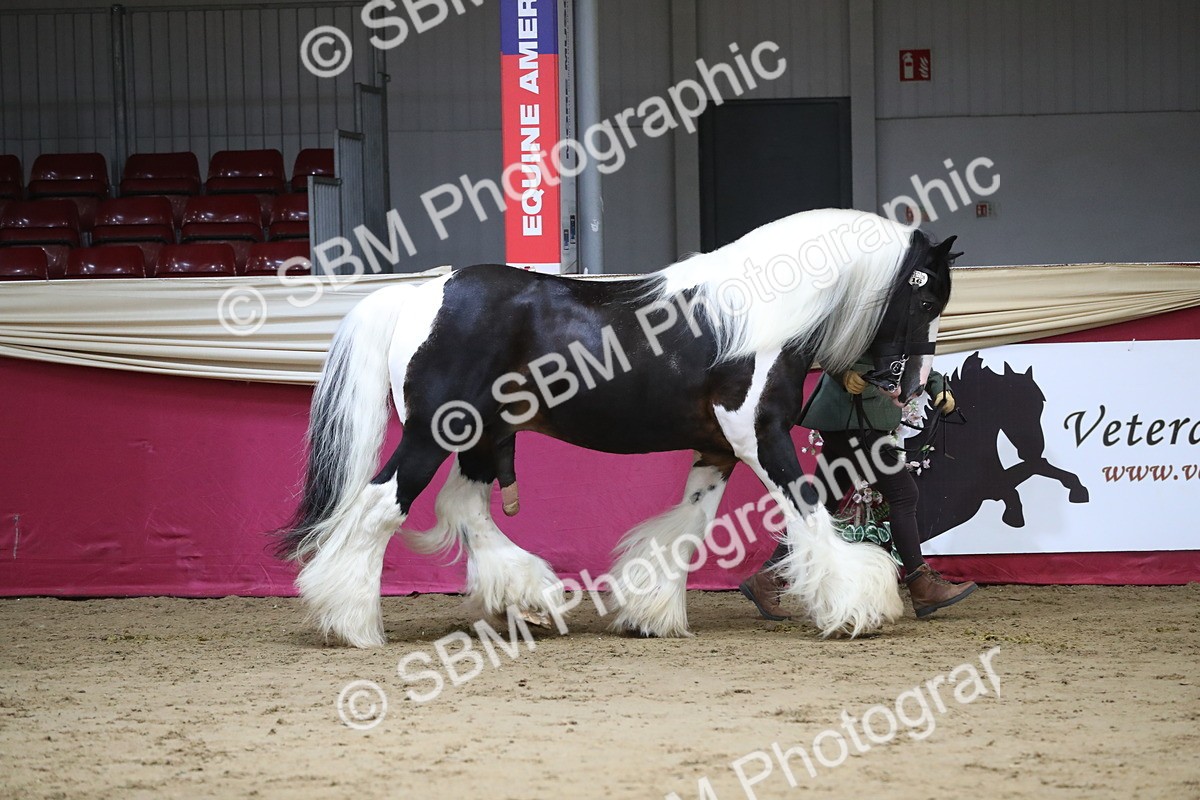 SBM_06354 - Class 9R Regional- IH Pre Vet