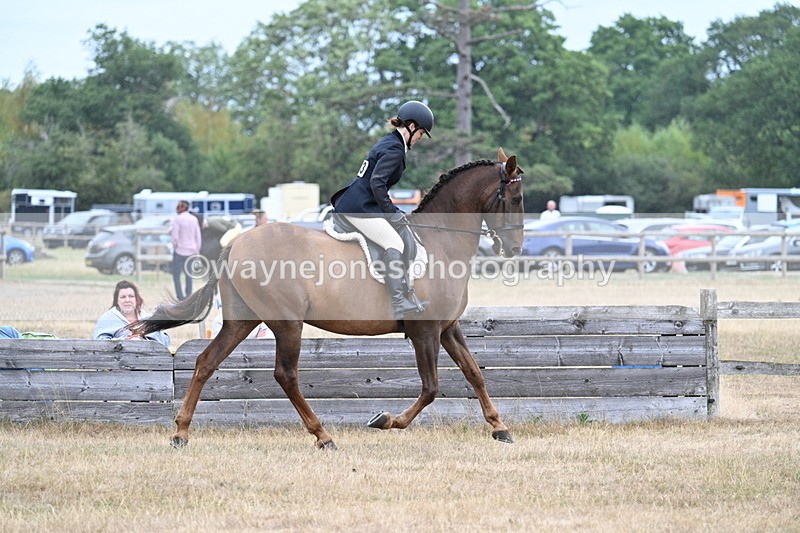 WJ7_0876 - Class 7 Riding Club Show Horse