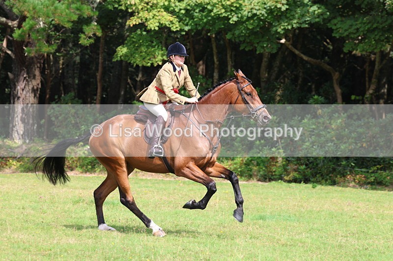 3E7A6140 - Working Hunter Championship