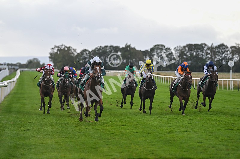 150925-Race 4-Hockney-2745 - Race 4