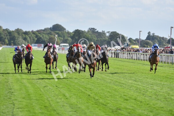 yr20082022r7-30 - Race 7 5.20pm Sky Bet Finale Stakes