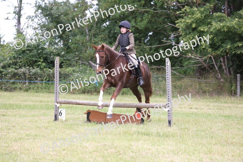 20260614-2737 - Class 22 - Open Working Hunter