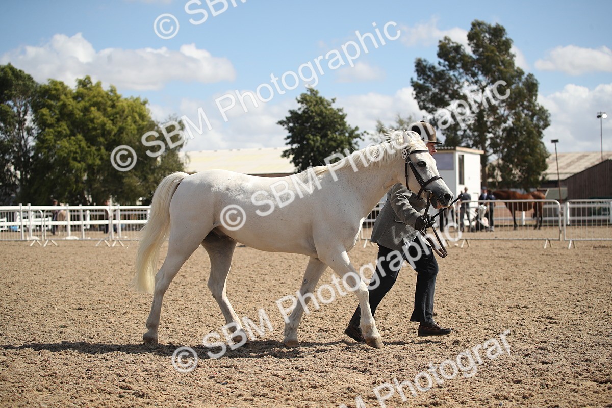 SBM_23547 - Class 605 - 2026 - Area - IH Veteran
