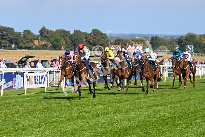 180924-Race 4-Surprised-4464 - Race 4