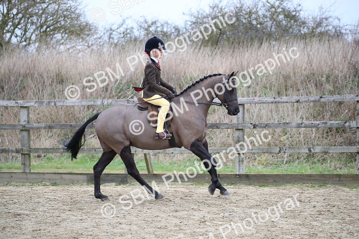 SBM_004618 - Class 5-9 - NPS In Hand-Show Hunter-Intermediate Ridden Inc Ridden Championship