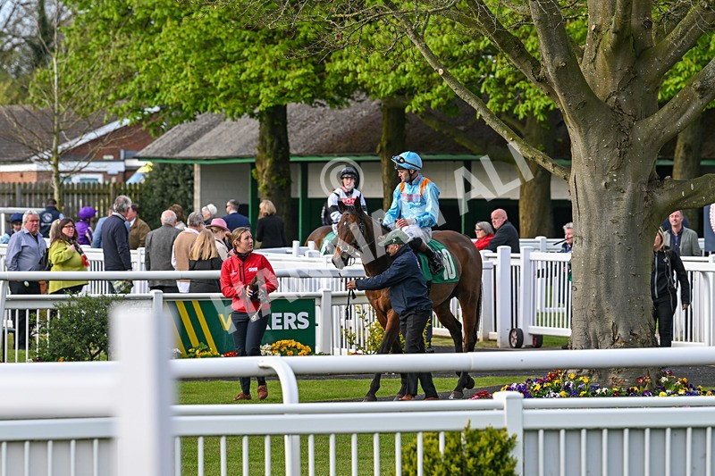 200424-Race 5-Cold Stare-6966