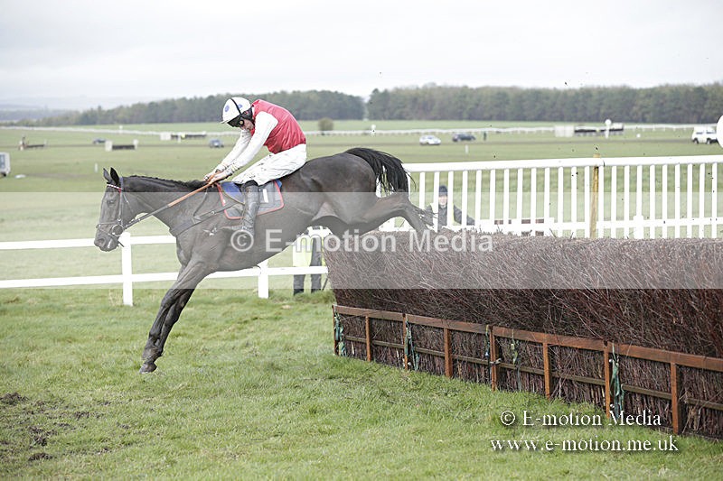 PtP 150320 0414 - New Forest Point-to-Point Larkhill 15/03/20