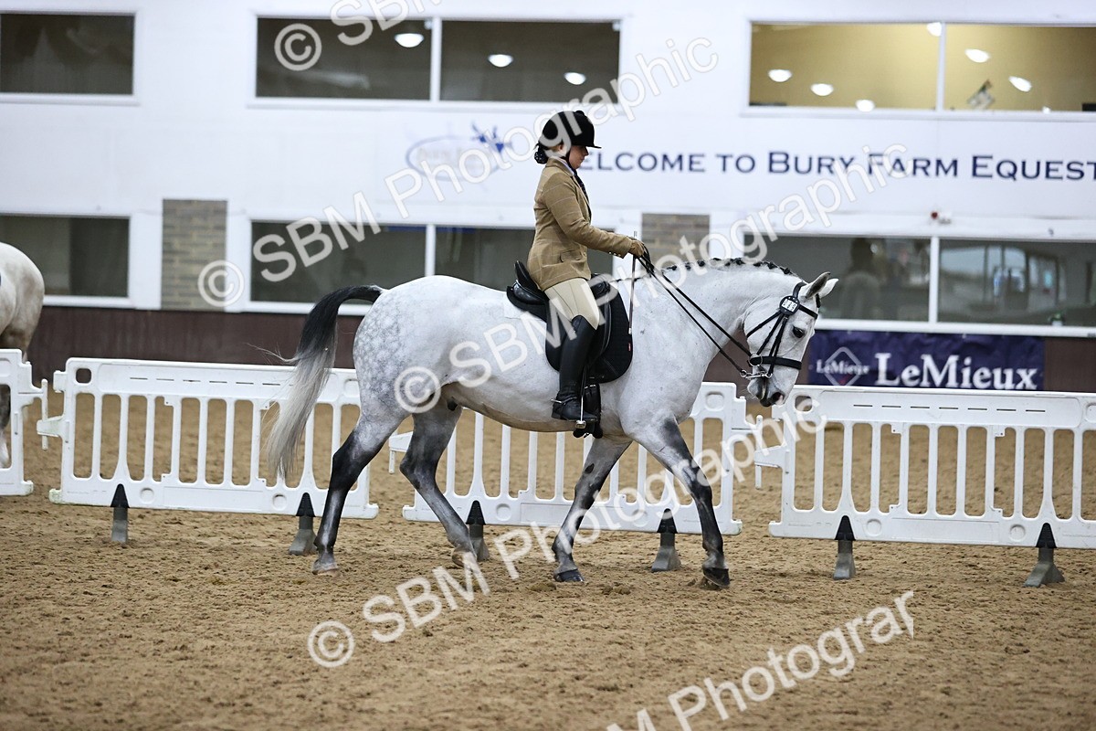 SBM_6341 - Class 45-42 - Ridden Irish Breeds-Ridden Cob