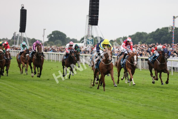 yr22072022r3-45 - Race 3 6.20pm Tomahawk Stakes