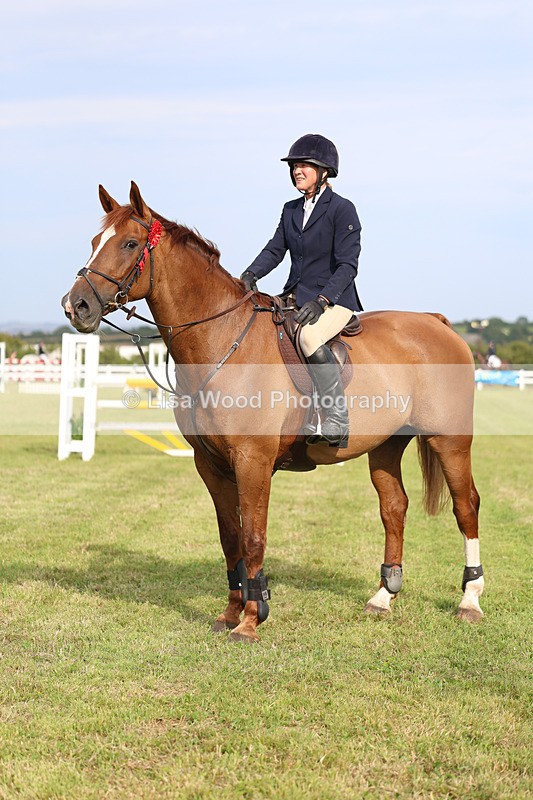 3E7A0884 - Class C: Showjumping Senior Foxhunter