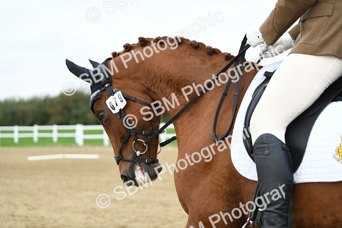LAD_4866 - Novice Test 2