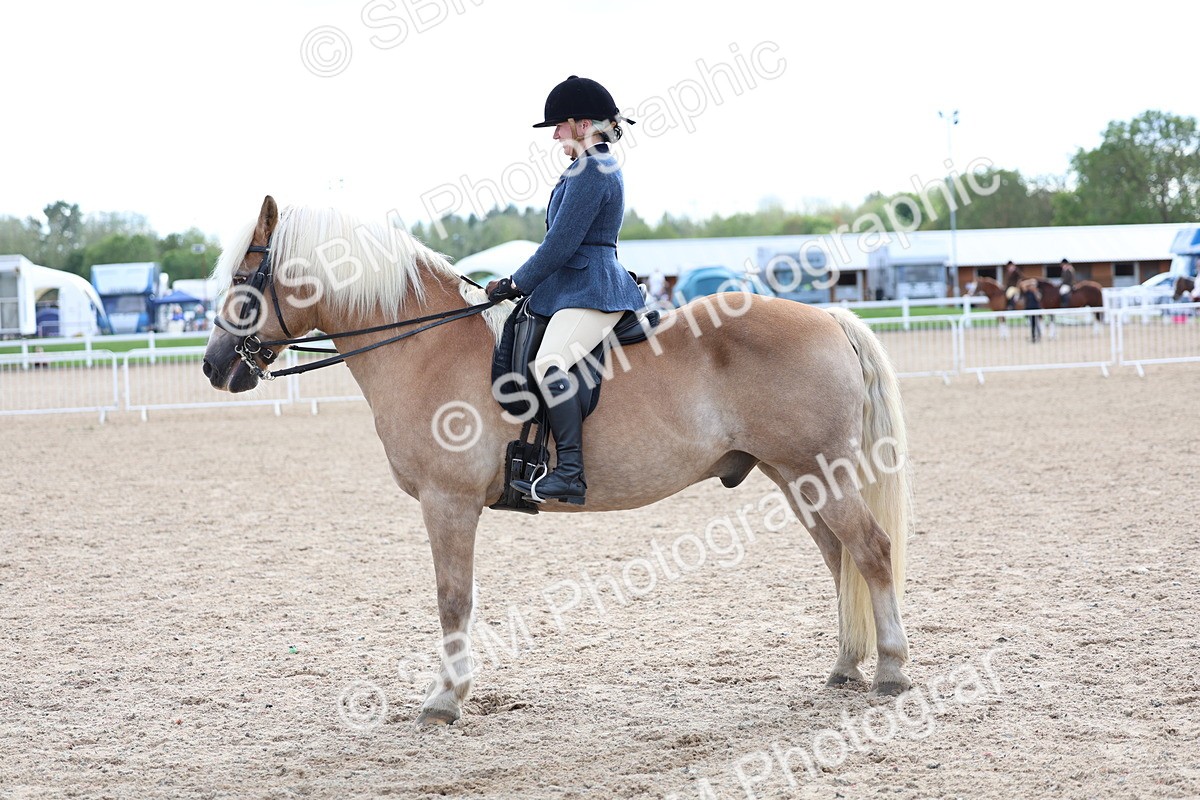 SBM_17265 - Class 315 - Best Horse - Rider Combination