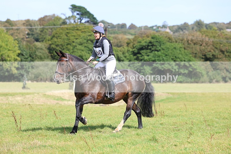 3E7A7072 - Class 2: Trekenning Open: Yellow Boat