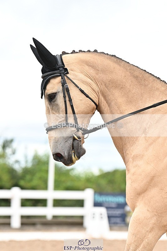 250705-175522-04085 - BRCP4 Sections BRCP4SNR, BRCP4JNR 15.13 to 15.55