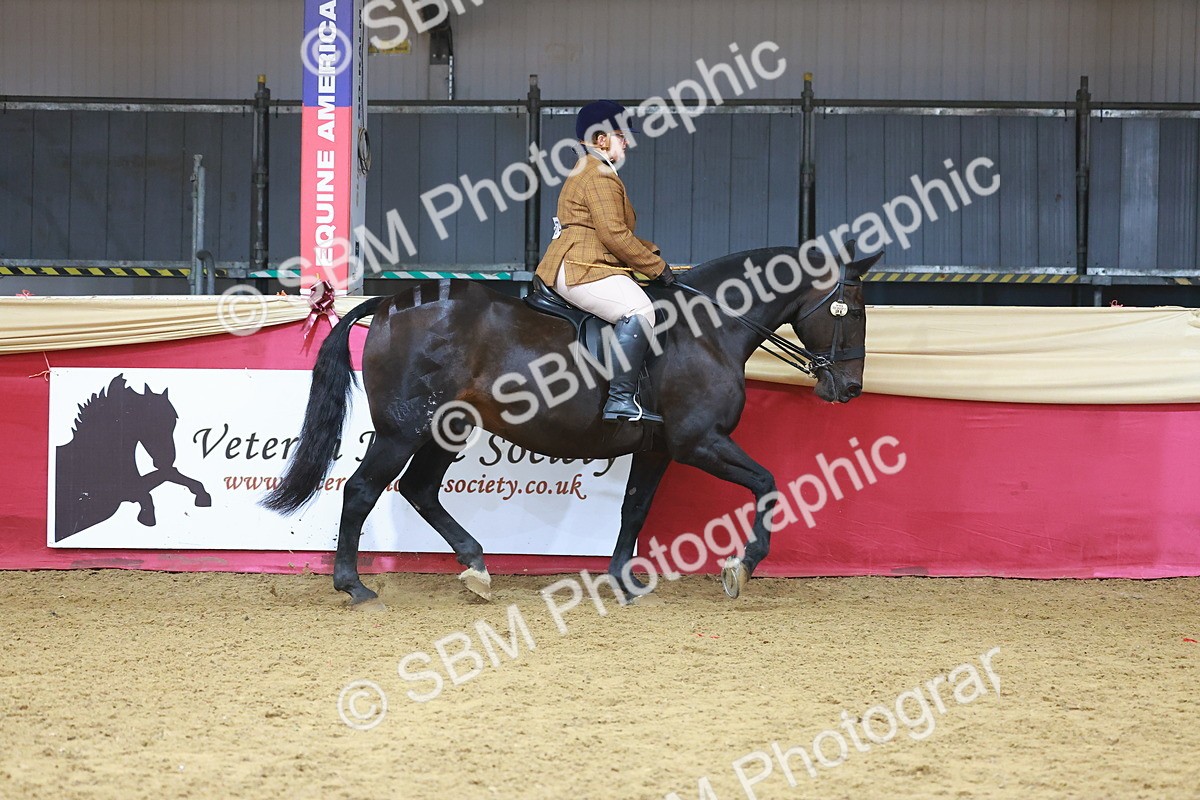 SBM_09419 - Class 102 - HOYS Veteran Qualifier - Ridden Veteran