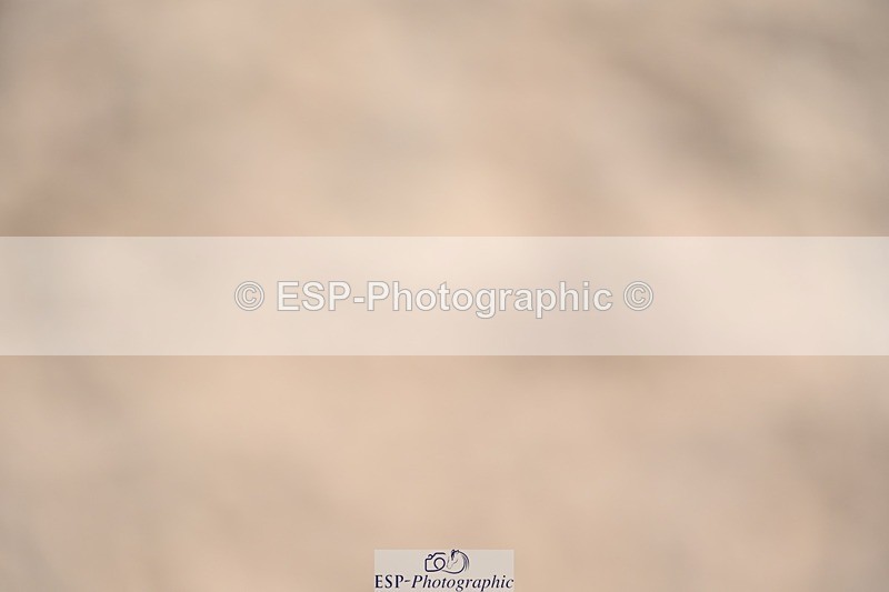 230813-124138-07133 - Cls 13 Medium Bronze Start to 13.00 break