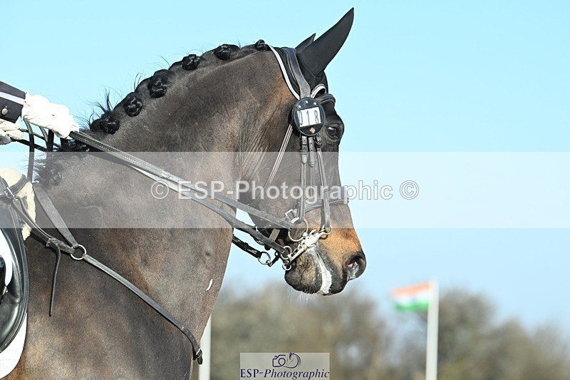 250403-081829-00305 - 018-Louise.Davison-Quamperfect