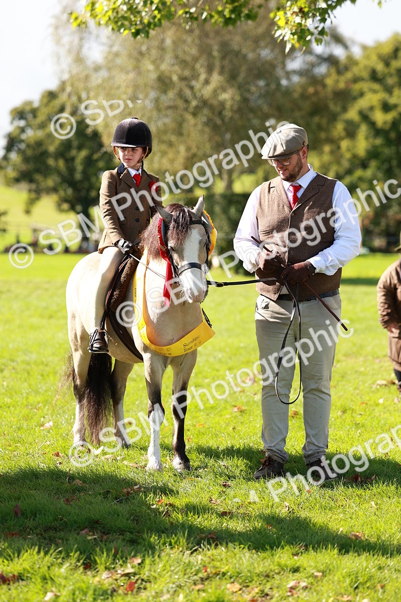 SBM_42198 - S32 - Mountain & Moorland Working Hunter Pony