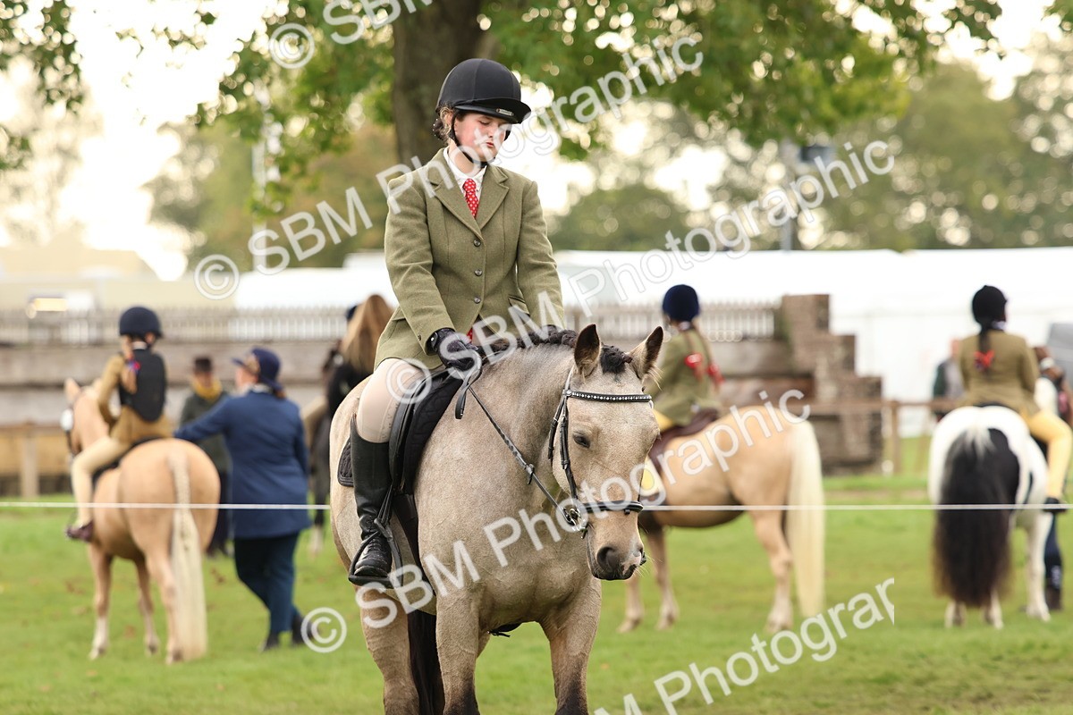 SBM_56698 - S40 - Starters Ridden Showing