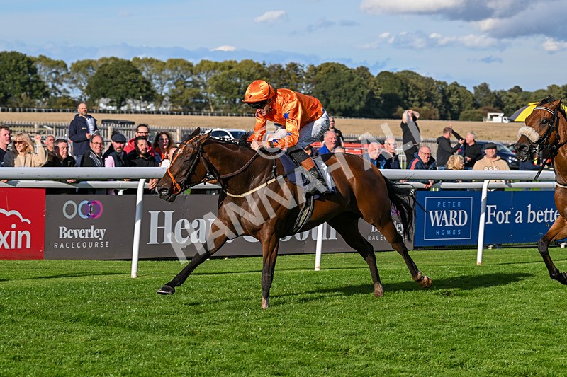 170925-Race 6-Elegant Erin-5808 - Race 6