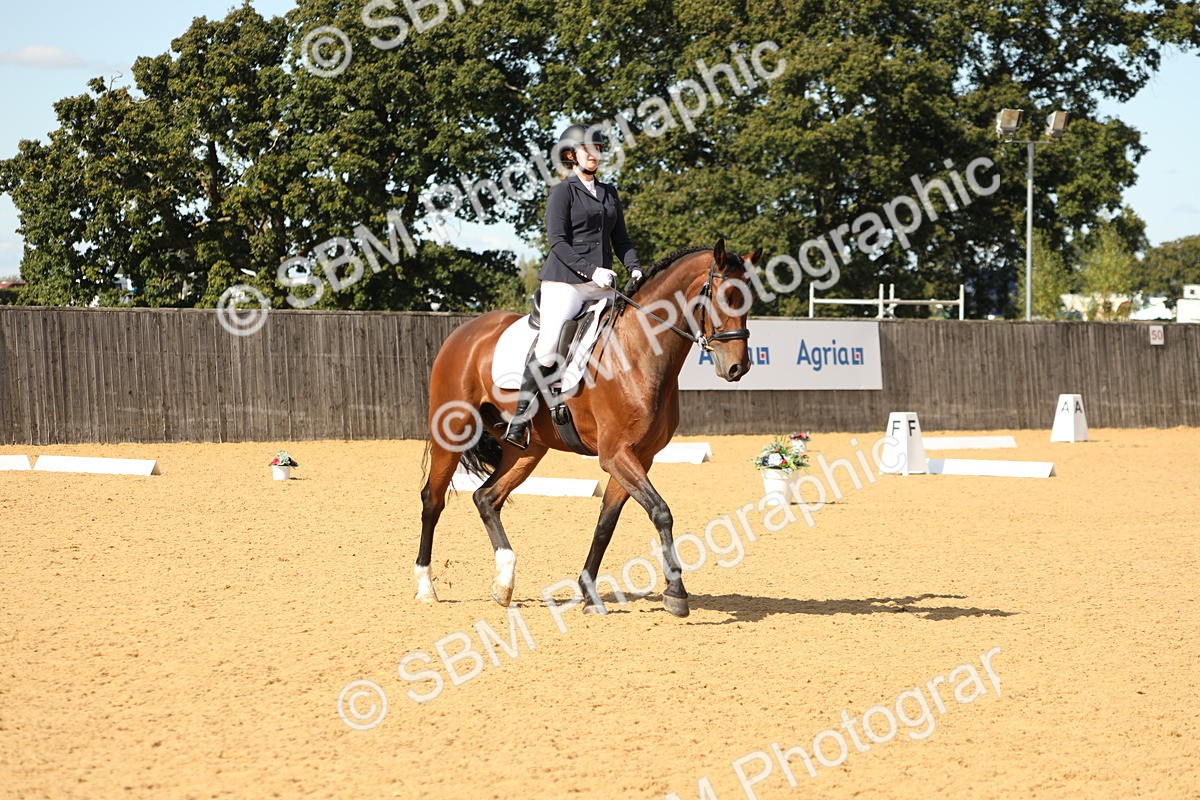 SBM_22258 - D17 - Grand Tour Championship - Novice 27