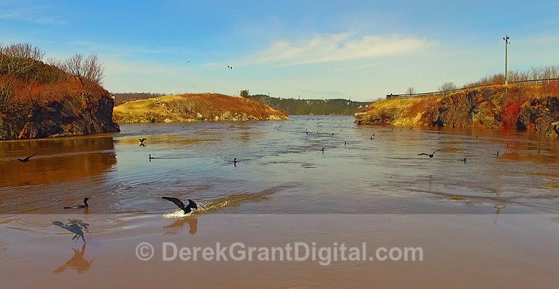 Reversing Rapids Reversing Falls Saint John New Brunswick Canada - Reversing Rapids
