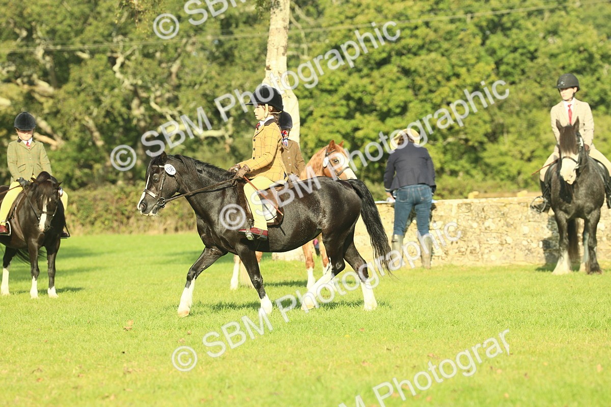SBM_59184 - S38 - Starters Ridden Showing