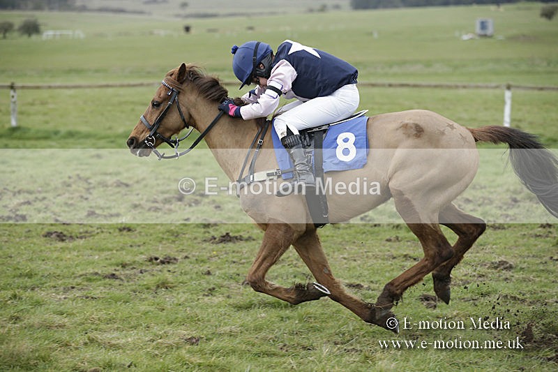 PtP 150320 0794 - New Forest Point-to-Point Larkhill 15/03/20