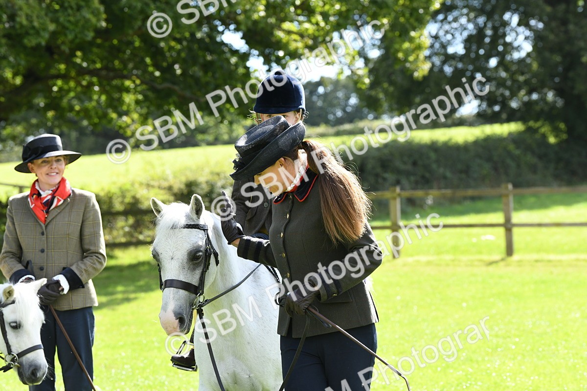 SBM_42606 - S20 - Lead Rein Mountain & Moorland Pony