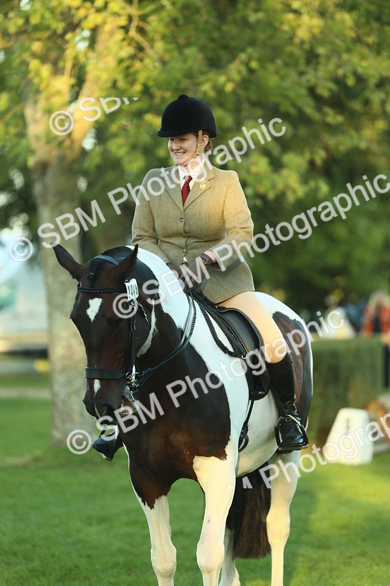 SBM_56509 - S14 - Riding Club Horse