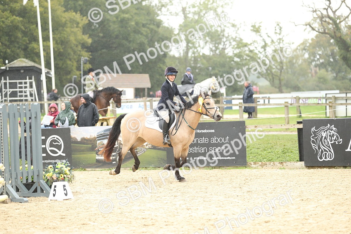 SBM_70535 - J15 - Junior Pony 70cm Championship