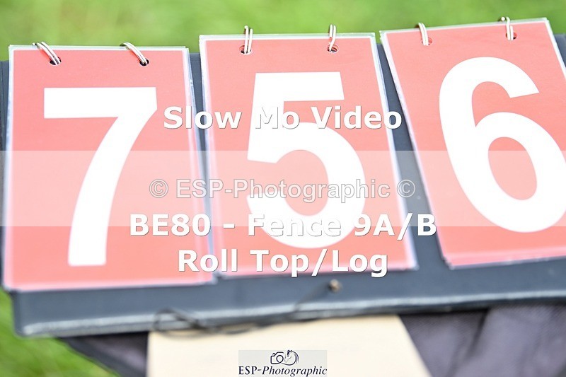 ESP_756 - P-756-Siobhan.Micklethwaite