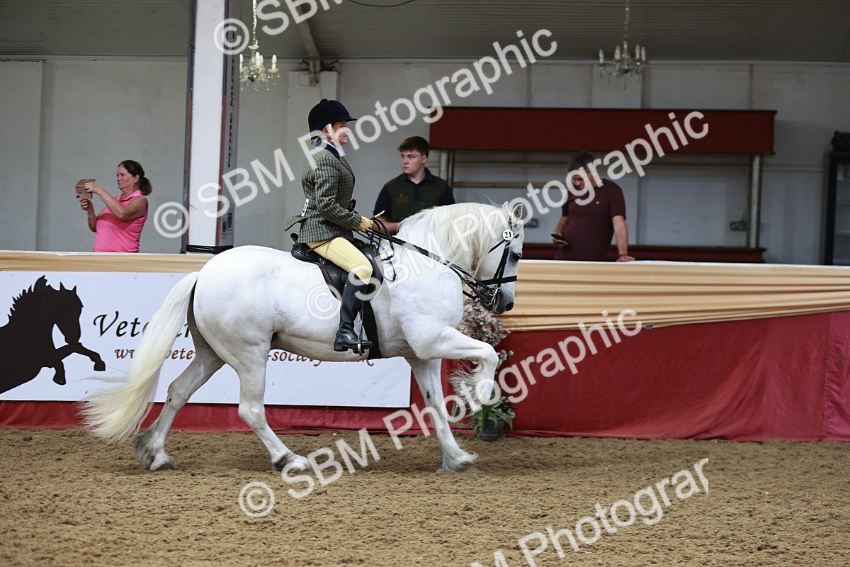 SBM_08664 - Regional Ridden Champ