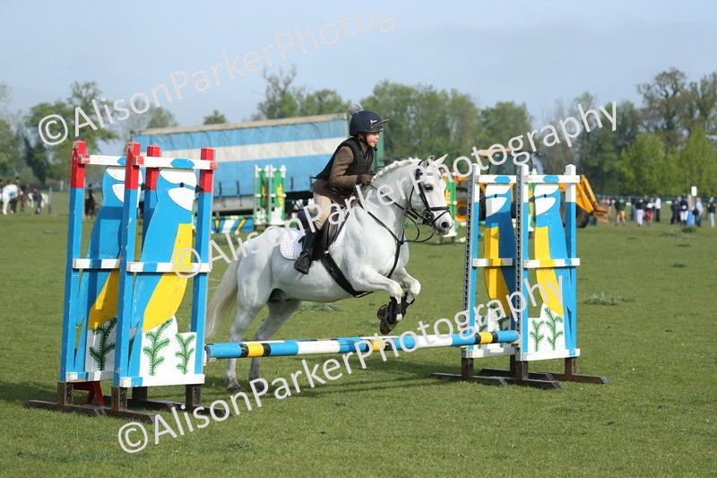 20260426-0117 - Class 13 - Rookie Jumping 50cm