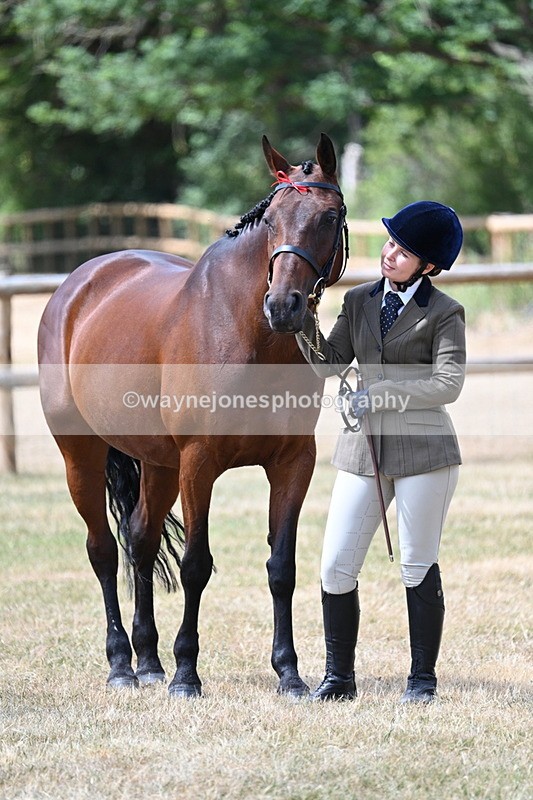WJ7_2011 - Class 4a Prettiest Mare 14.2hh and over hand