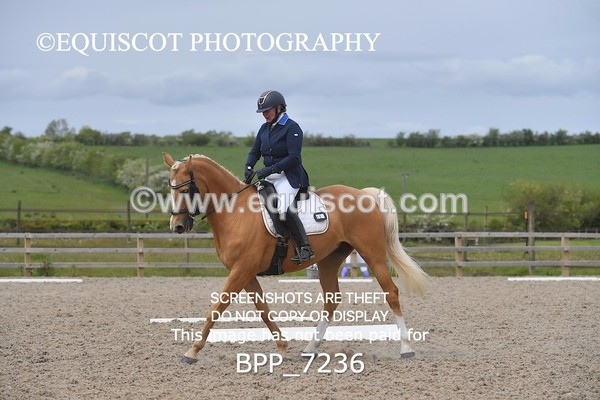 BPP_7236 - 3 D HARRISON