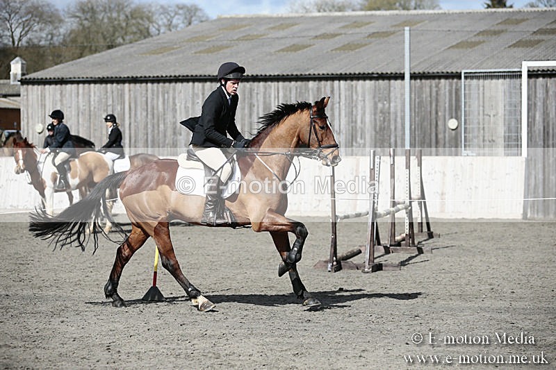 BVRC SJ 170319 491 - Bourne Valley Riding Club Showjumping 17/03/19