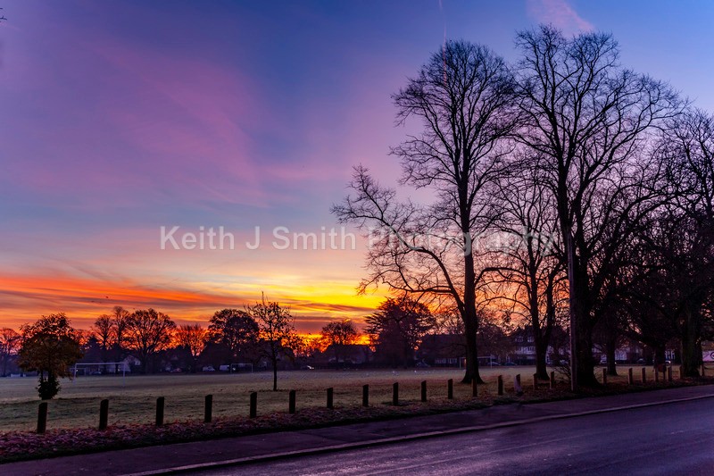0SKJ0691 - Trees in Abington Park