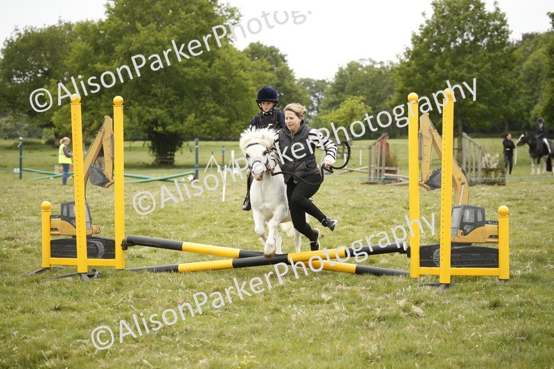 20250517-0188 - Class 1 - 30cm On Lead Rein