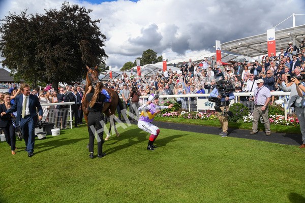 260823-Race 3-Kinross-0377 - Race 3 Sky Bet City Of York Stakes