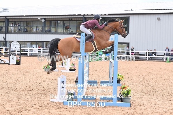 BPP_8560 - CLASS 19 SAT Senior 1.05m Open