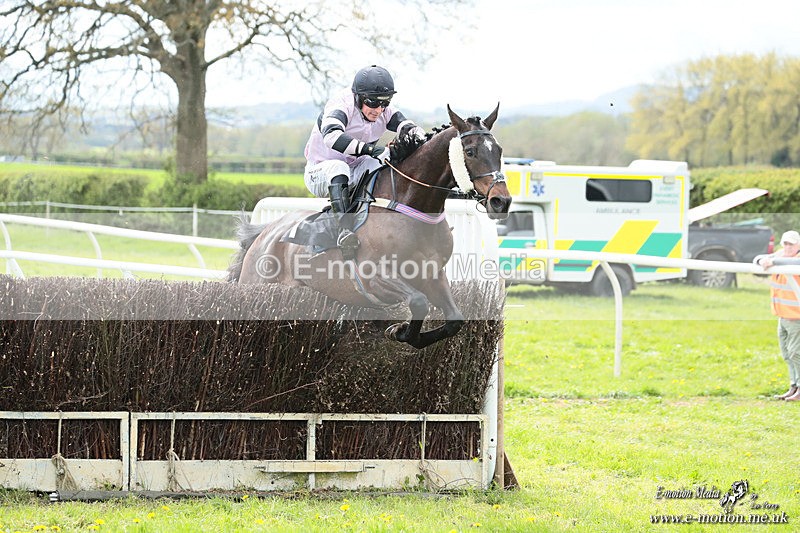 PtP 180426 331 - Worcestershire Hunt PtP Chaddesley Corbett 18/04/26