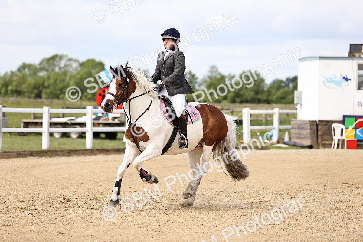 SBM_007230 - Class 2 - 80cm showjumping