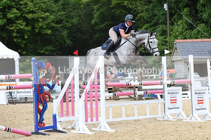 3E7A7404 - Class 8: Senior Foxhunter/1.20 open