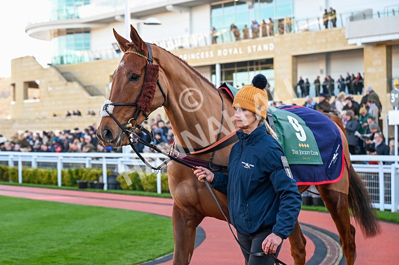 141224-Race 2-Livin On Luco-0387 - Race 2