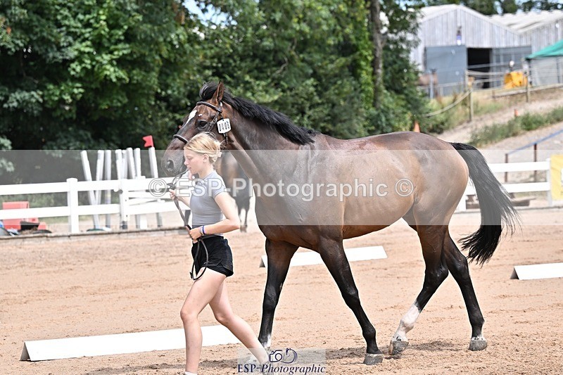 250716-125712-00249 - Trot Up 12.30 to 1.30
